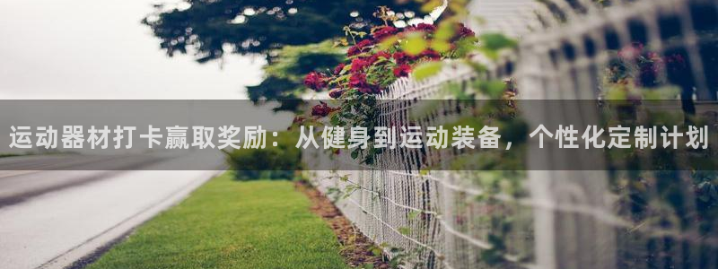 征途国际平台注册流程图：运动器材打卡赢取奖励：从健身