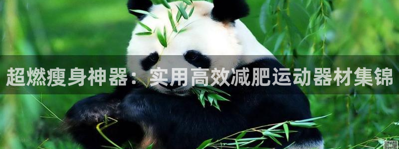 征途国际平台注册要钱吗安全吗：超燃瘦身神器：实用高效减肥运动