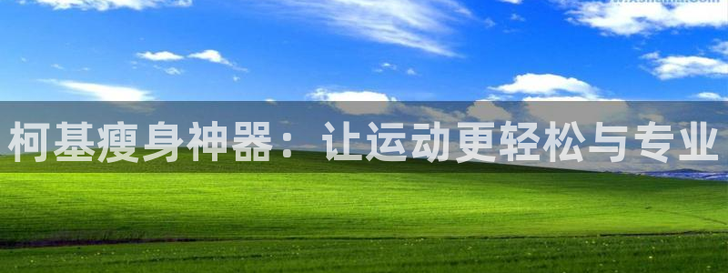 征途国际新能源：柯基瘦身神器：让运动更轻松与专业