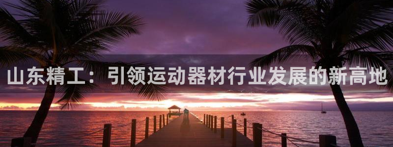 征途国际娱乐平台：山东精工：引领运动器材行业发展的新