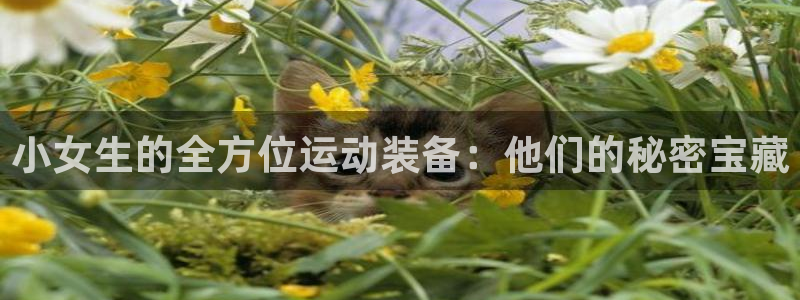 征途国际招商电话号码：小女生的全方位运动装备：他们的秘密宝藏