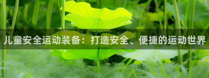 征途国际官方：儿童安全运动装备：打造安全、便捷的运动世界