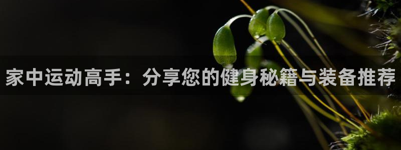 征途国际招商电话是多少：家中运动高手：分享您的健身秘
