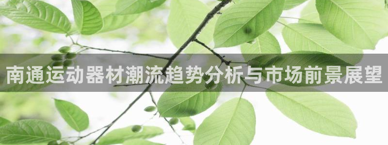 征途国际娱乐：南通运动器材潮流趋势分析与市场前景展望