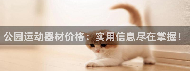 征途国际平台注册：公园运动器材价格：实用信息尽在掌握