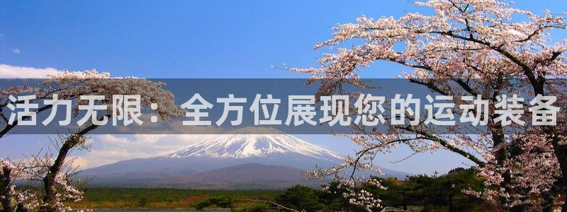 征途国际娱乐首页官网下载：活力无限：全方位展现您的运