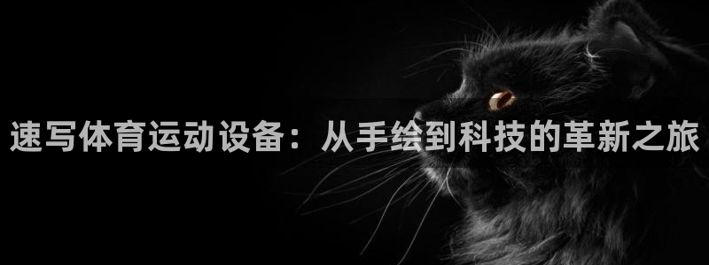 征途国际集团E.ON：速写体育运动设备：从手绘到科技的革新之