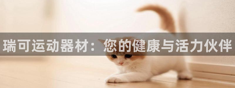 海南征途国际：瑞可运动器材：您的健康与活力伙伴