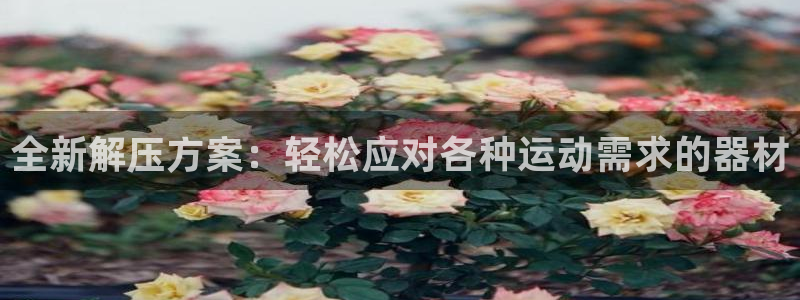 征途国际招商电话号码：全新解压方案：轻松应对各种运动需求的器