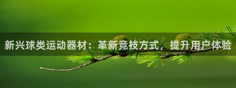 征途国际集团logo：新兴球类运动器材：革新竞技方式，提升用