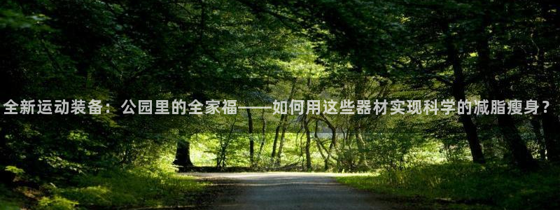 征途国际官网：全新运动装备：公园里的全家福——如何用这些器材