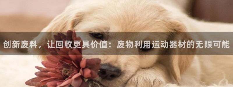 征途国际招商电话是多少啊：创新废料，让回收更具价值：废物利用