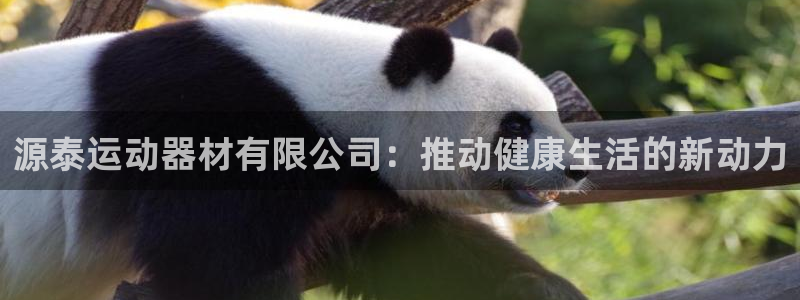 征途国际娱乐代理怎么样