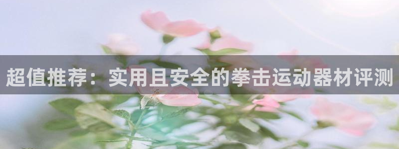 征途国际娱乐是那个系列的台子：超值推荐：实用且安全的拳击运动