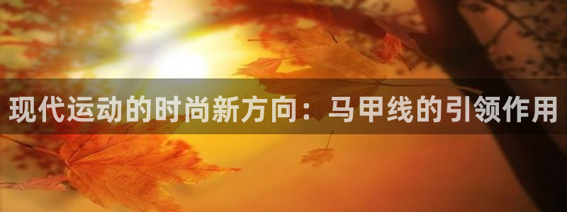 征途国际平台注册要钱吗