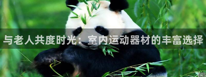 征途国际官方：与老人共度时光：室内运动器材的丰富选择